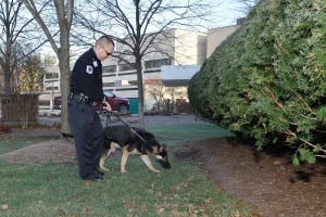 Beaumont Health security teams welcome new K 9 officers