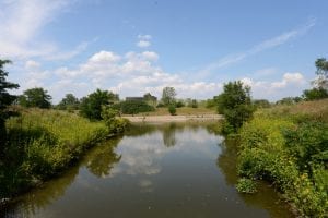 Photo by Jessica Strachan The Rouge Oxbow Restoration Project, which is being completed in phases, is located at The Henry Ford adjacent to the Rouge River in Dearborn. The main objective of the Rouge Oxbow Restoration Project is to enhance the river's ecological viability.